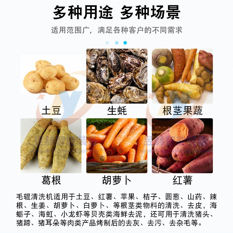 根茎果蔬毛辊清洗机 全自动土豆去皮清洗机 小龙虾去泥沙清洗机图3