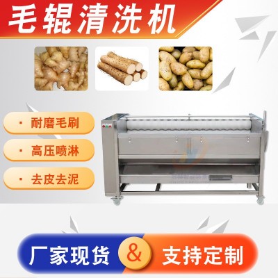 全自动大型蔬菜生姜土豆清洗去皮设备 海蛎子生蚝去泥毛辊清洗机