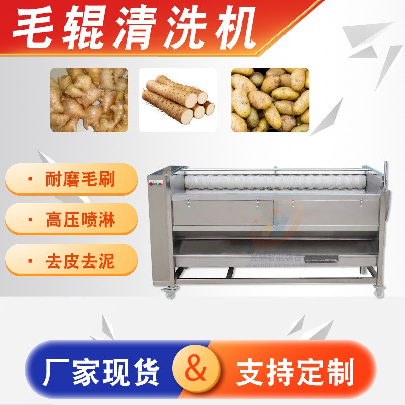 全自动大型蔬菜生姜土豆清洗去皮设备 海蛎子生蚝去泥毛辊清洗机图3