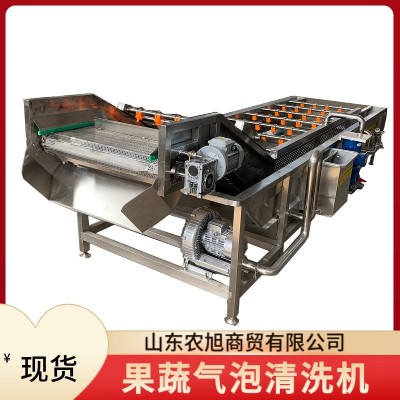 大蒜鲜蒜清洗设备 麻叶预制菜气泡清洗机 山野菜加工成套设现货