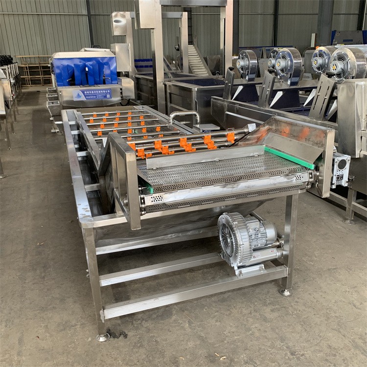 大蒜鲜蒜清洗设备 麻叶预制菜气泡清洗机 山野菜加工成套设现货图4