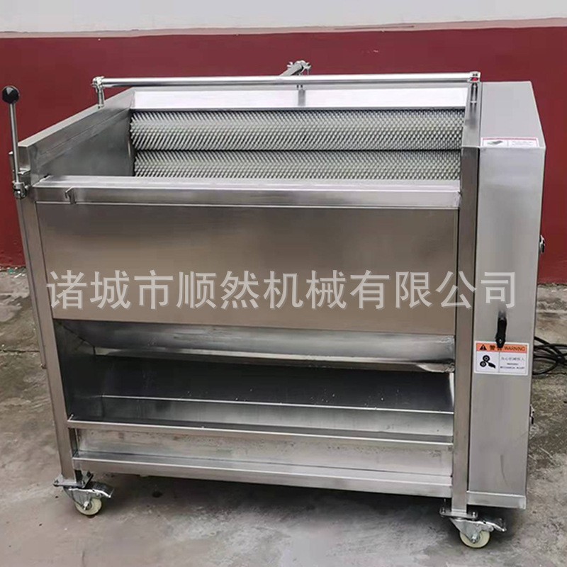 土豆去皮毛辊清洗机全自动红薯清洗去皮机大姜萝卜毛辊清洗设备图3