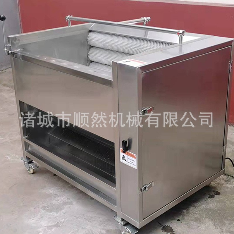土豆去皮毛辊清洗机全自动红薯清洗去皮机大姜萝卜毛辊清洗设备图2