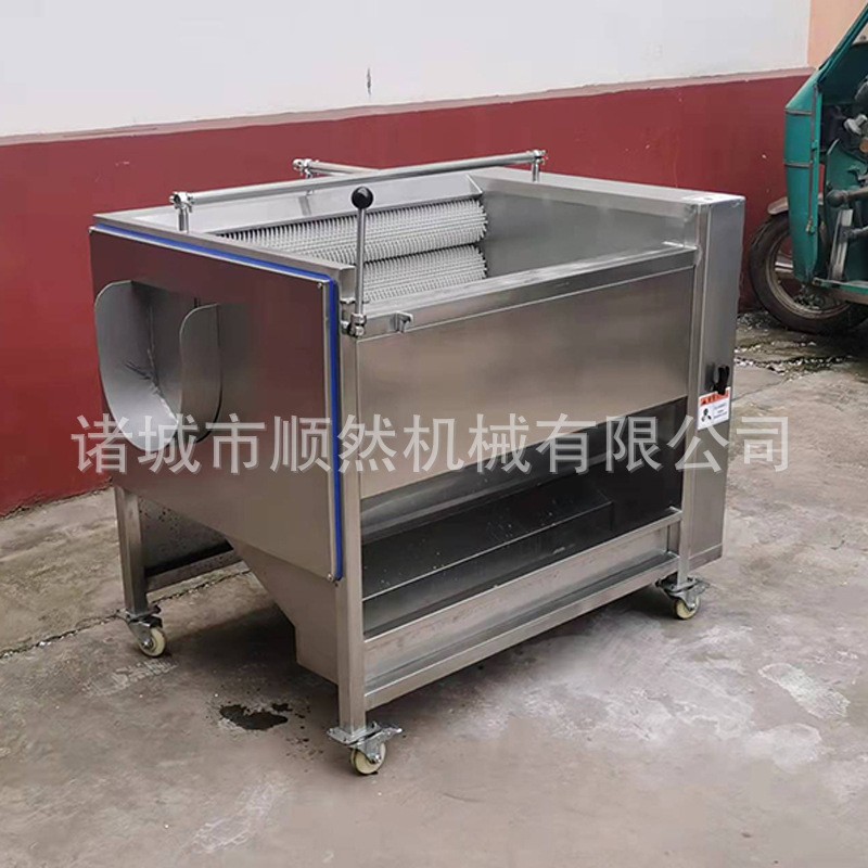 土豆去皮毛辊清洗机全自动红薯清洗去皮机大姜萝卜毛辊清洗设备图4