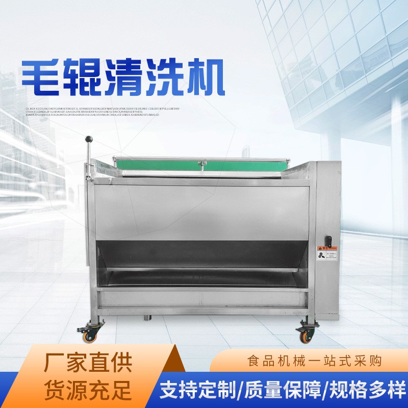 供应莲藕去皮清洗机 全自动大姜毛辊清洗机 不锈钢芋头毛辊清洗机图2