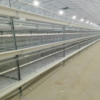工厂直批立体式蛋鸡笼新型全自动层叠蛋鸡笼热镀锌框架结构蛋鸡笼