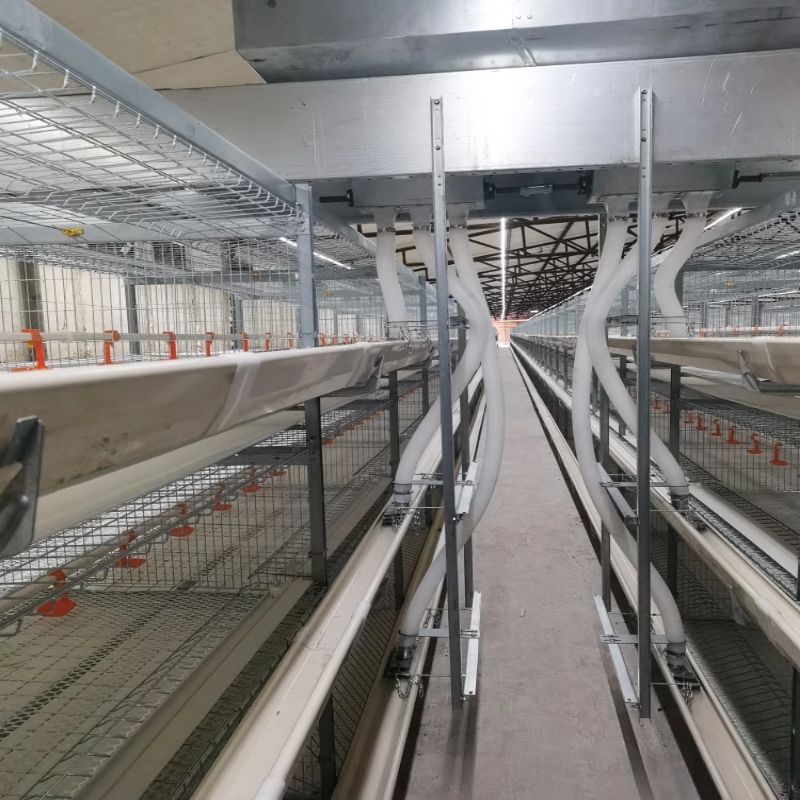 工厂直批立体式蛋鸡笼新型全自动层叠蛋鸡笼热镀锌框架结构蛋鸡笼图2