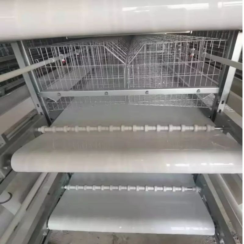 工厂直批立体式蛋鸡笼新型全自动层叠蛋鸡笼热镀锌框架结构蛋鸡笼图3