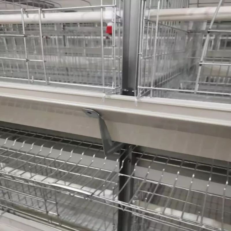 工厂直批立体式蛋鸡笼新型全自动层叠蛋鸡笼热镀锌框架结构蛋鸡笼图4