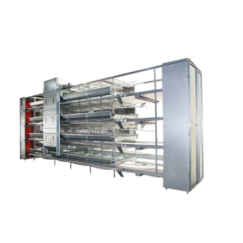 工厂直批立体式蛋鸡笼新型全自动层叠蛋鸡笼热镀锌框架结构蛋鸡笼图5