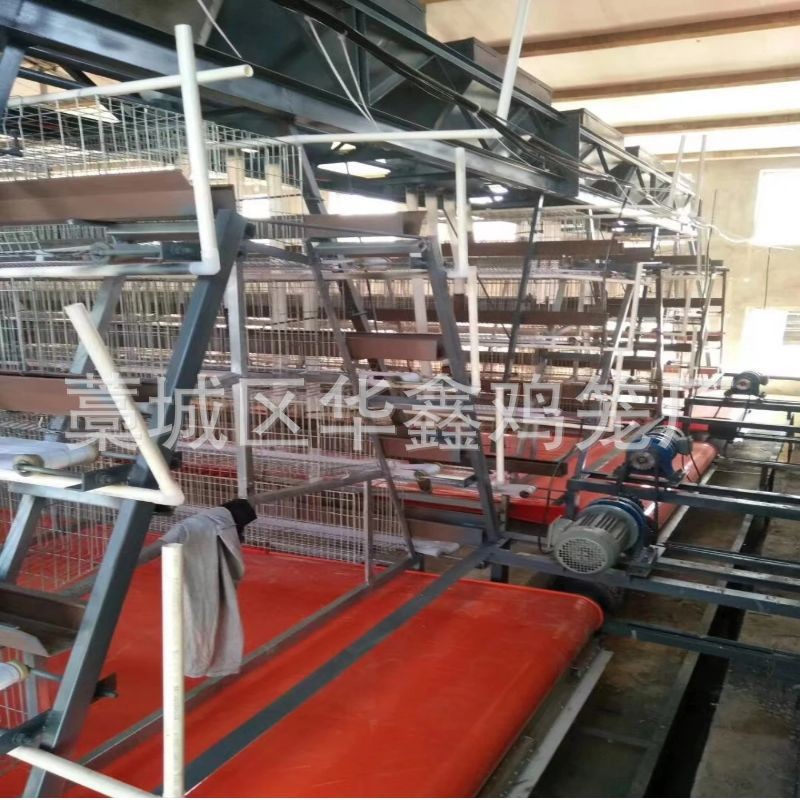 鸡笼子安装批发 自动清粪蛋鸡笼阶梯式鸡笼立式鸡笼层叠鸡笼图2