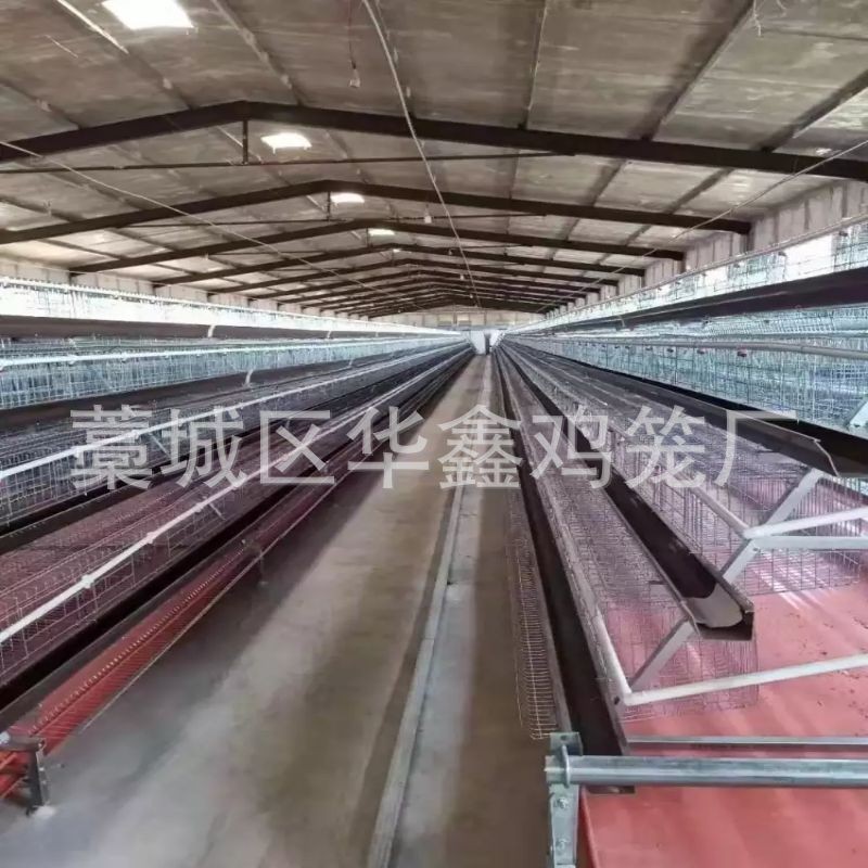 鸡笼子安装批发 自动清粪蛋鸡笼阶梯式鸡笼立式鸡笼层叠鸡笼图5