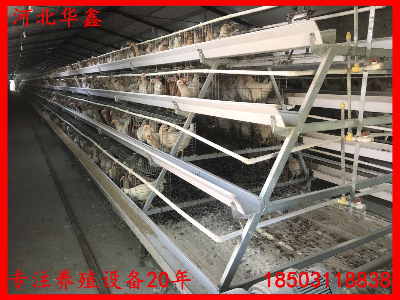 寰俊鍥剧墖_201708261610057