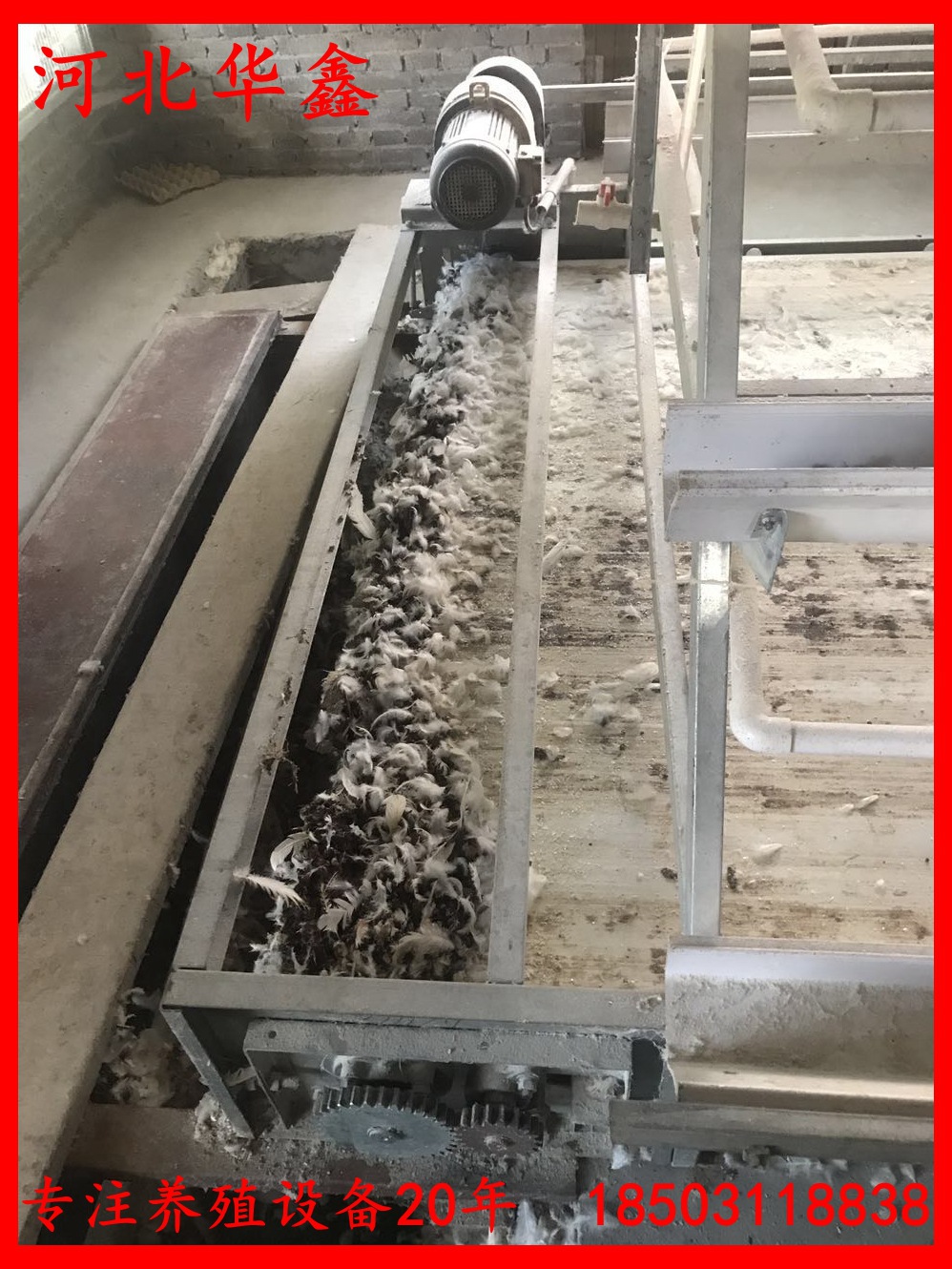 寰俊鍥剧墖_2017082616100511