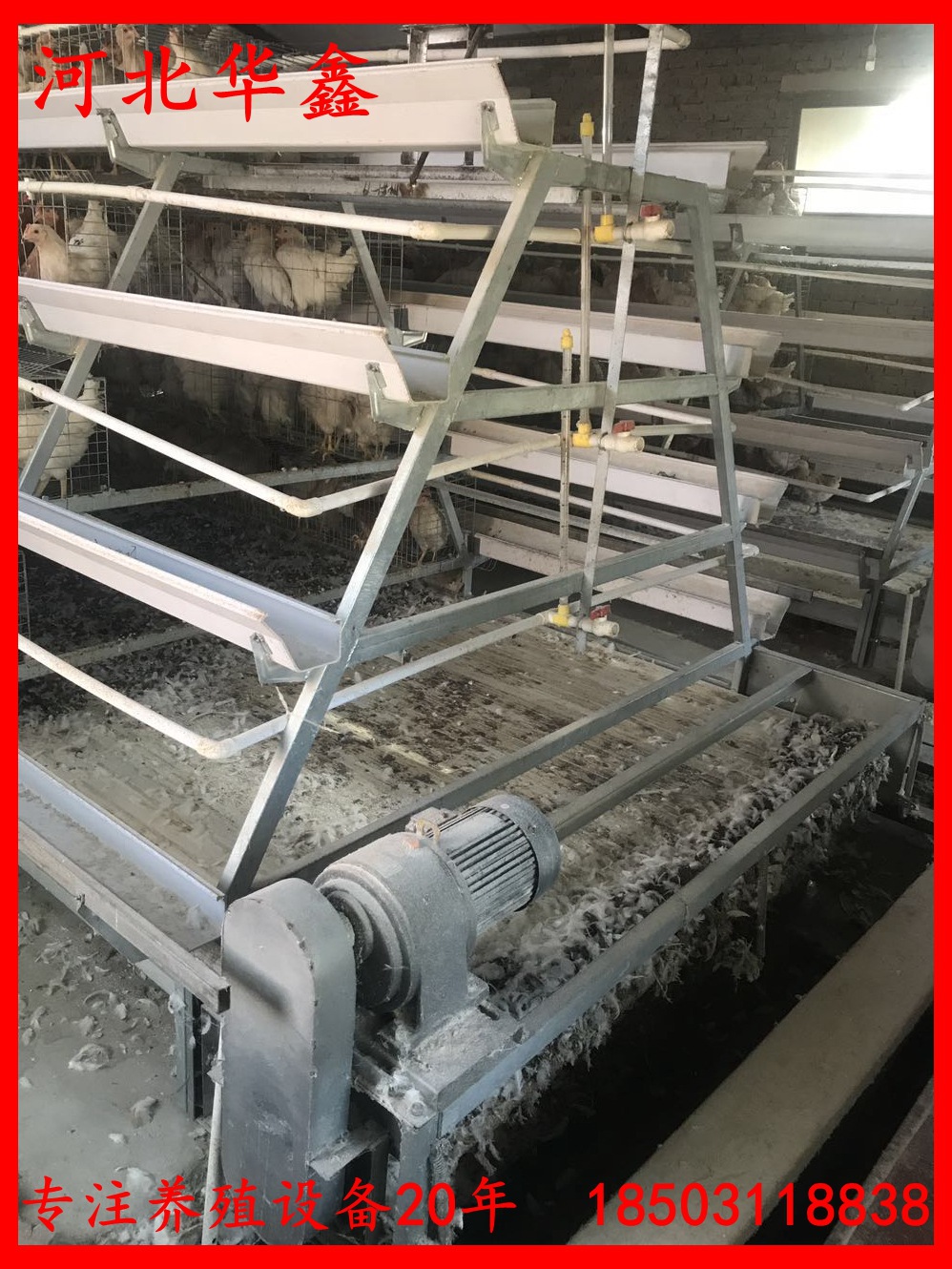 寰俊鍥剧墖_201708261610056