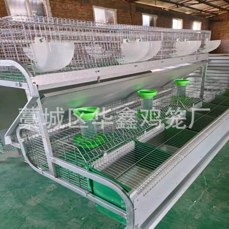 自动清粪养殖兔笼大型养殖场自动化兔子养殖设备 热镀锌字母兔笼图2