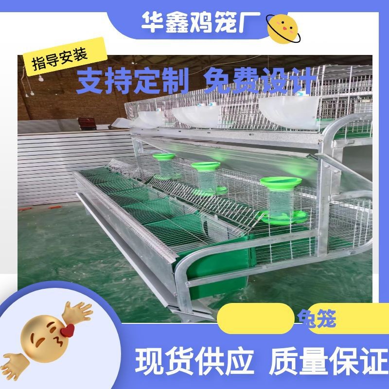 自动清粪养殖兔笼大型养殖场自动化兔子养殖设备 热镀锌字母兔笼