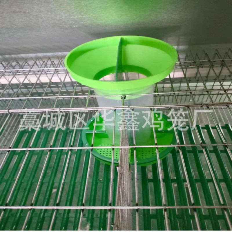 自动清粪养殖兔笼大型养殖场自动化兔子养殖设备 热镀锌字母兔笼图5