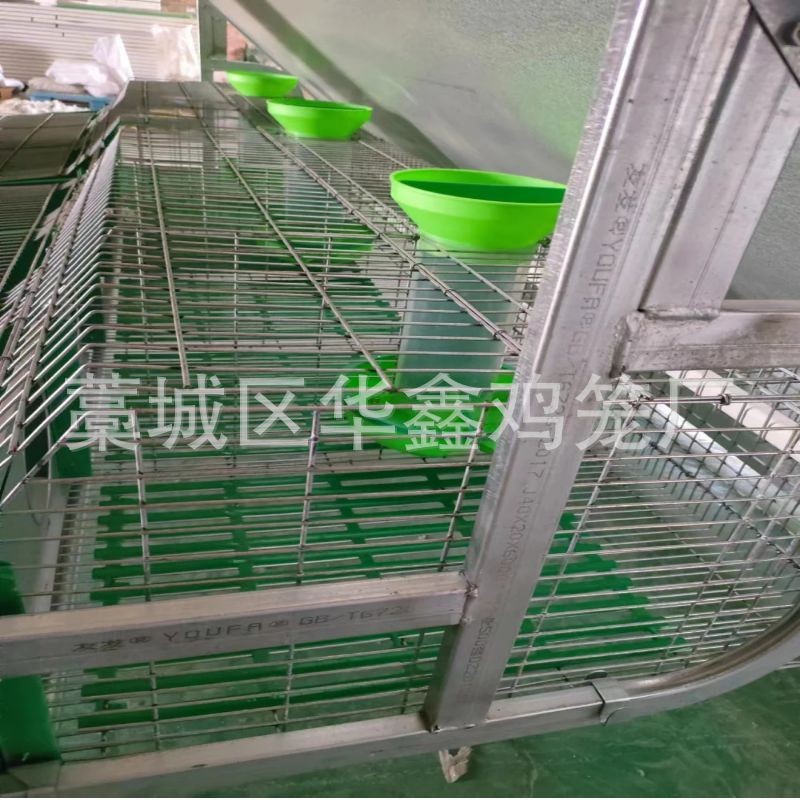 自动清粪养殖兔笼大型养殖场自动化兔子养殖设备 热镀锌字母兔笼图3