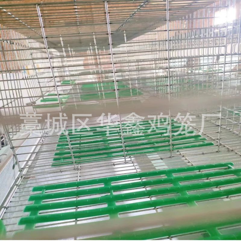 自动清粪养殖兔笼大型养殖场自动化兔子养殖设备 热镀锌字母兔笼图4