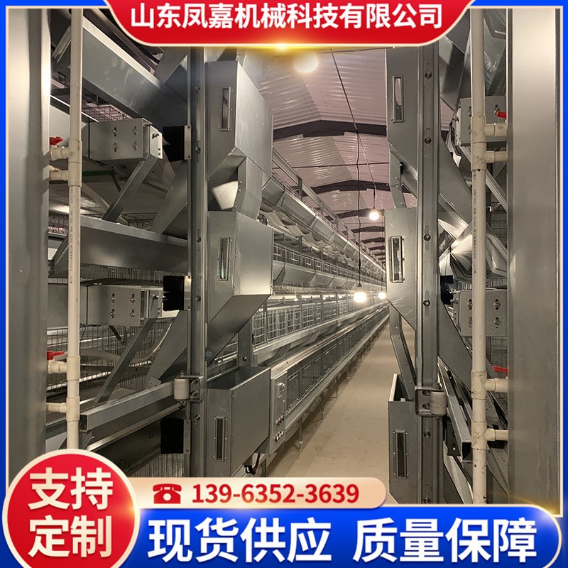 四层型材蛋鸡笼四门耐老化材料防寒防晒防酸碱蛋鸡笼 养鸡设备图3