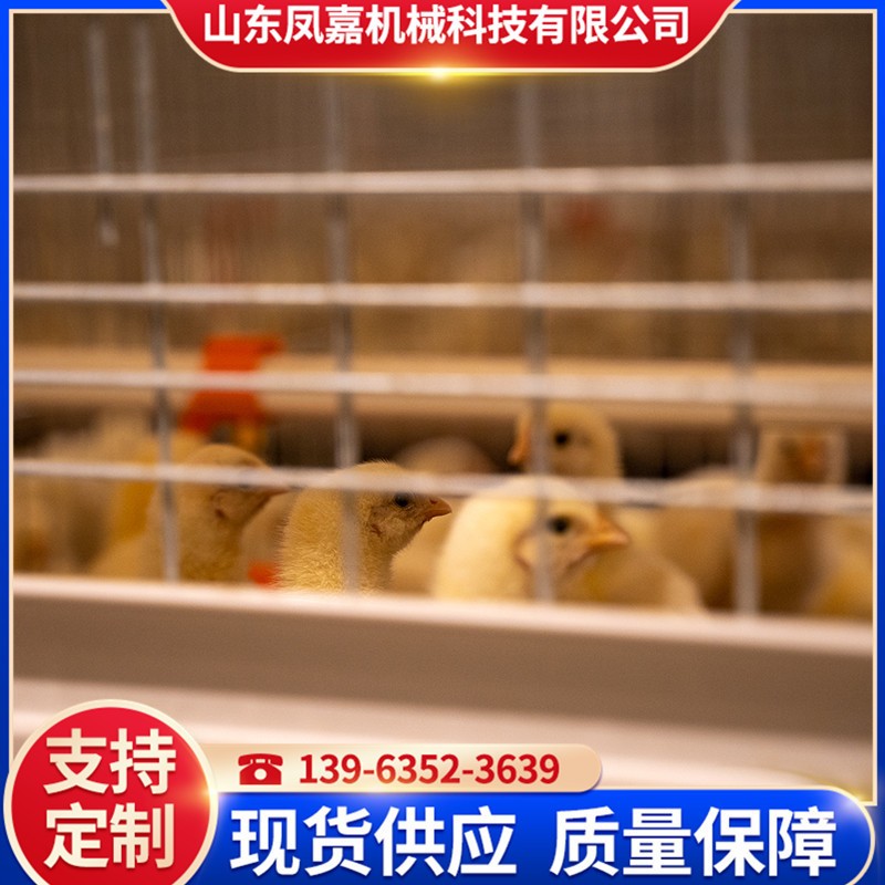 厂家供应肉鸡鸭养殖设备 全自动肉鸡笼 大规模养殖鸡笼 养鸡设备图3