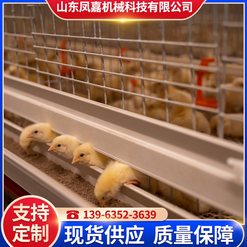 厂家供应肉鸡鸭养殖设备 全自动肉鸡笼 大规模养殖鸡笼 养鸡设备图2