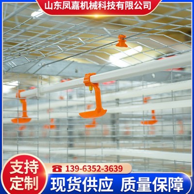 厂家供应肉鸡鸭养殖设备 全自动肉鸡笼 大规模养殖鸡笼 养鸡设备