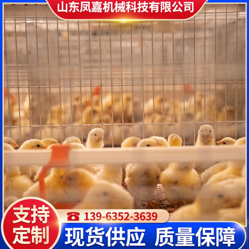 厂家供应肉鸡鸭养殖设备 全自动肉鸡笼 大规模养殖鸡笼 养鸡设备图4
