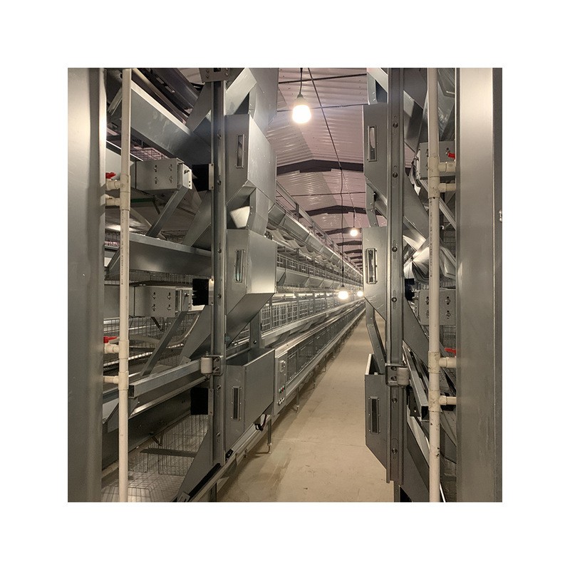 四层型材蛋鸡笼尺寸1560mmX450四门提高产蛋率节省人工图5