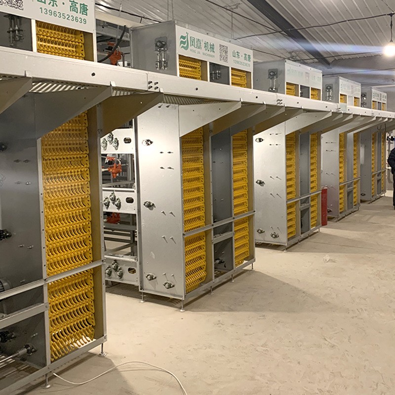 四层型材蛋鸡笼尺寸1560mmX450四门提高产蛋率节省人工图2
