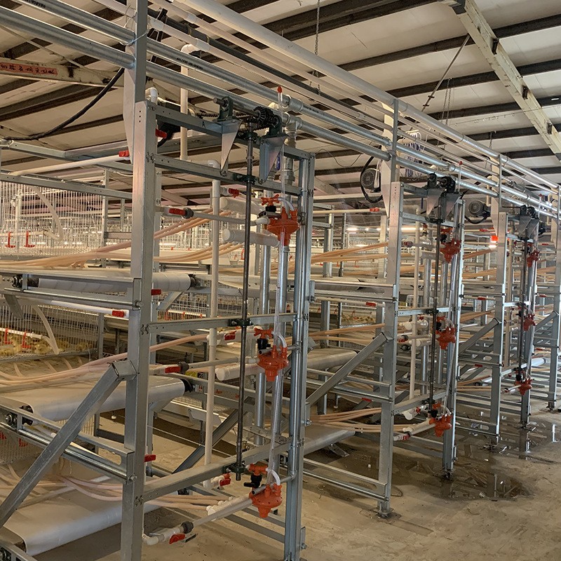 现货供应笼养设备 农业养殖机械肉鸭笼 鸭子笼养殖场用的肉鸭笼图2