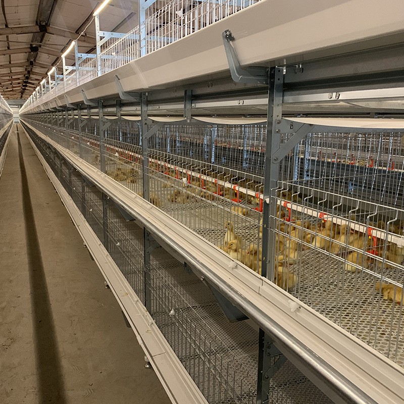 现货供应笼养设备 农业养殖机械肉鸭笼 鸭子笼养殖场用的肉鸭笼图3