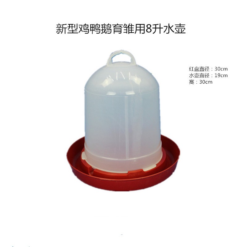 育雏水壶 新型鸡鸭鹅育雏自动喂水饮水器 鸡水壶水桶手提式图2