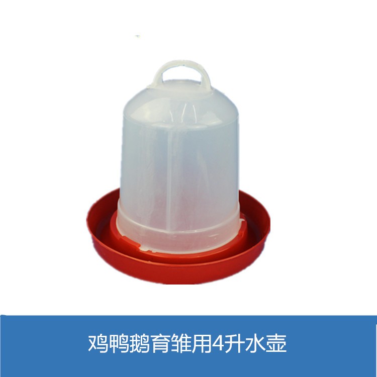 育雏水壶 新型鸡鸭鹅育雏自动喂水饮水器 鸡水壶水桶手提式图3