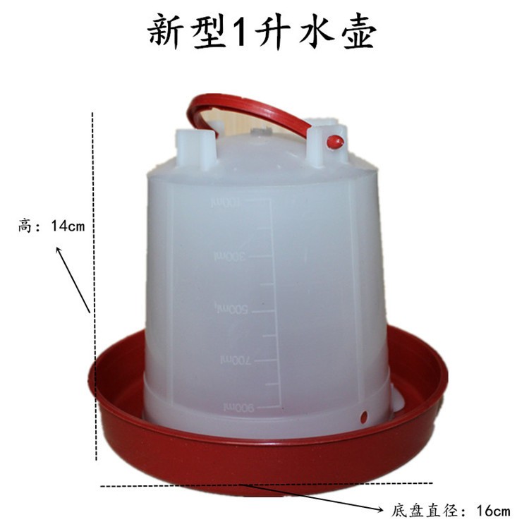 育雏水壶 新型鸡鸭鹅育雏自动喂水饮水器 鸡水壶水桶手提式图4