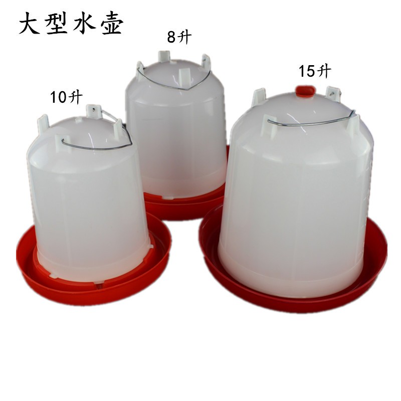 鸡用水壶 养殖鸡鸭鹅育雏用自动喂水器 大号大容量手提式水桶水壶图5