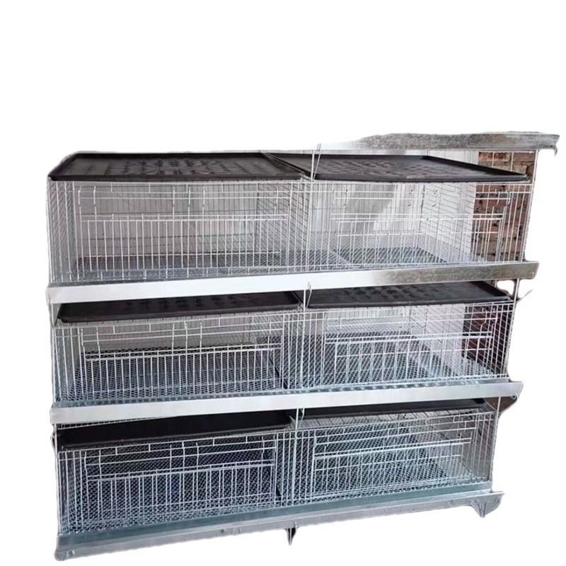 厂家现货供应 H型加粗加密小鸡笼 阶梯式自动化养殖设备图5