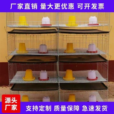 厂家现货供应 H型加粗加密小鸡笼 阶梯式自动化养殖设备