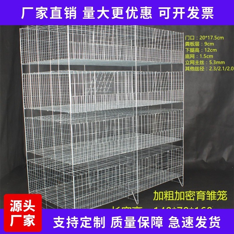 厂家现货供应 H型加粗加密小鸡笼 阶梯式自动化养殖设备图4