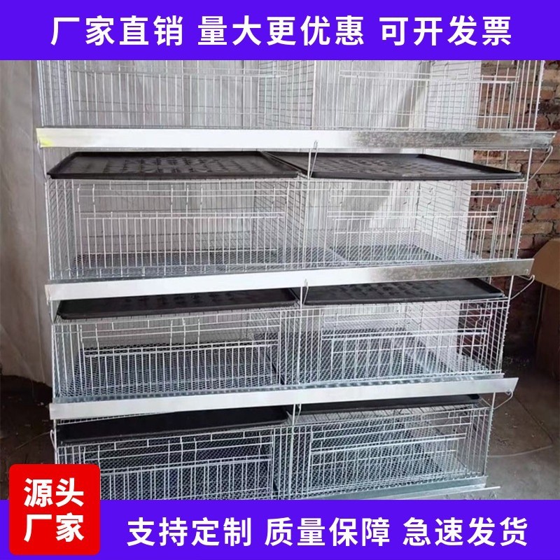 厂家现货供应 H型加粗加密小鸡笼 阶梯式自动化养殖设备图3