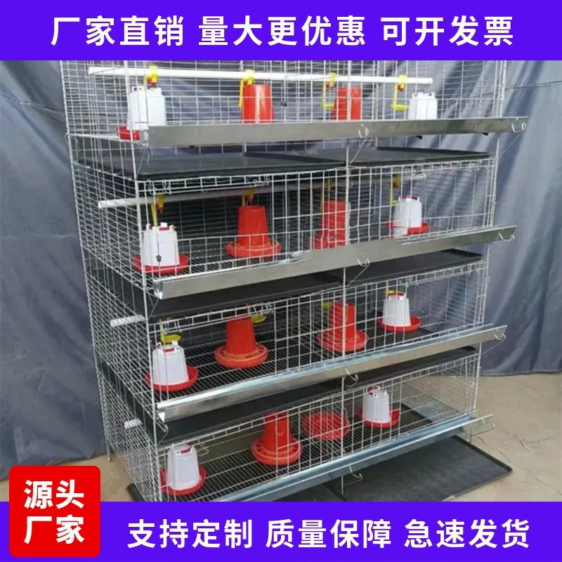 厂家现货供应 H型加粗加密小鸡笼 阶梯式自动化养殖设备图2