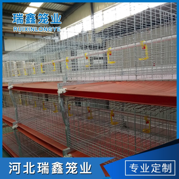 厂家生产供应 单层皮带立式热镀锌元宝肉鸡笼全自动养殖设备图3