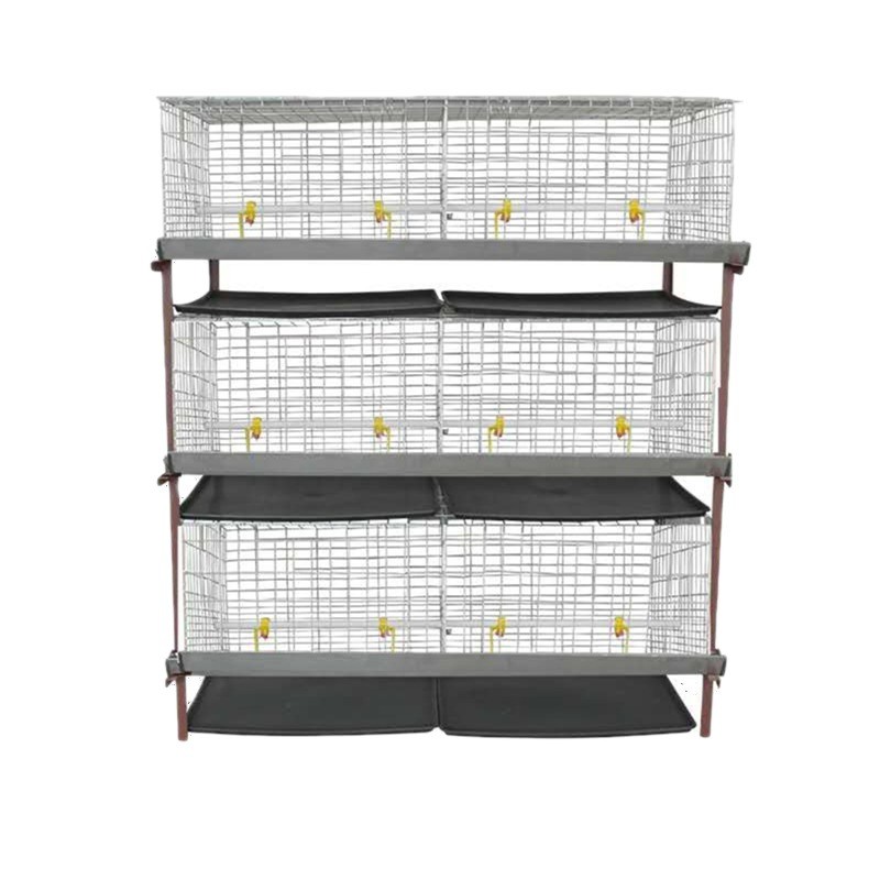 厂家生产供应 单层皮带立式热镀锌元宝肉鸡笼全自动养殖设备图5