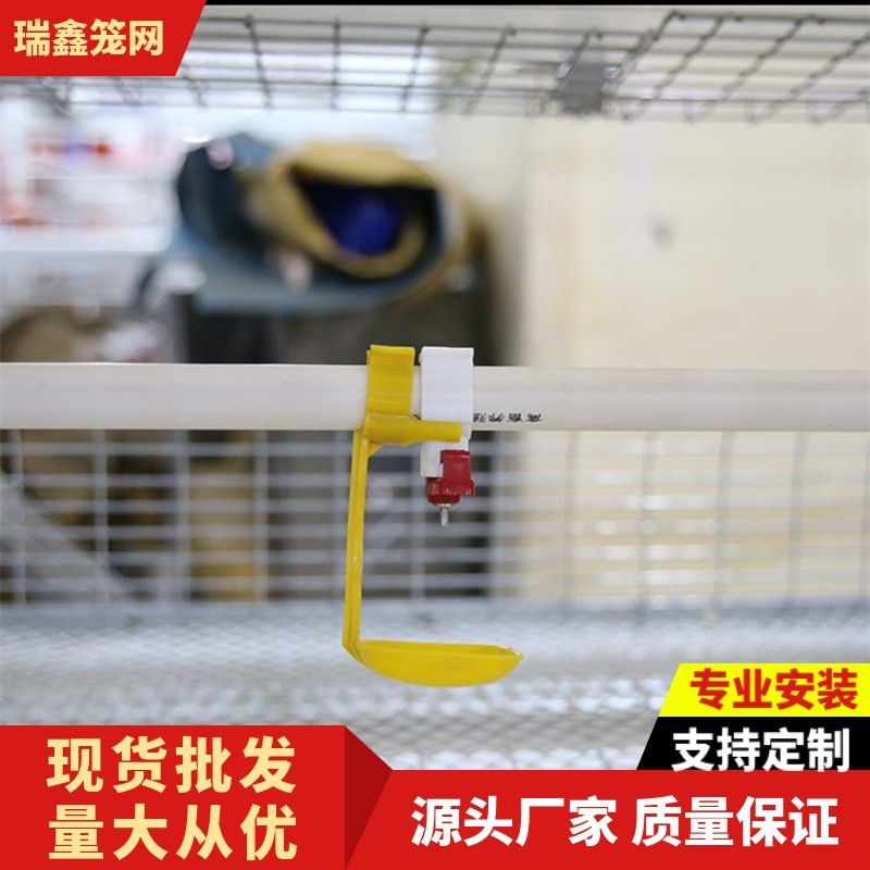 厂家批发 养殖肉鸡笼 层叠式元宝蛋鸡肉鸡笼图2