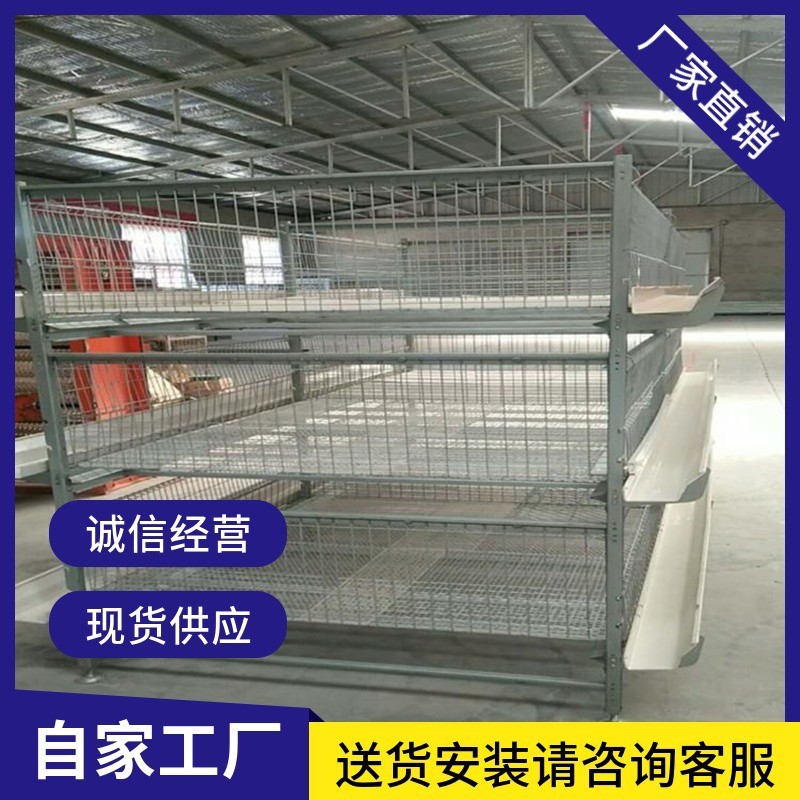 厂家批发 养殖肉鸡笼 层叠式元宝蛋鸡肉鸡笼图3