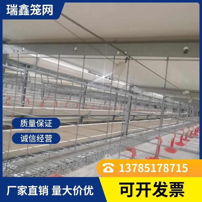 厂家批发 养殖肉鸡笼 层叠式元宝蛋鸡肉鸡笼图4