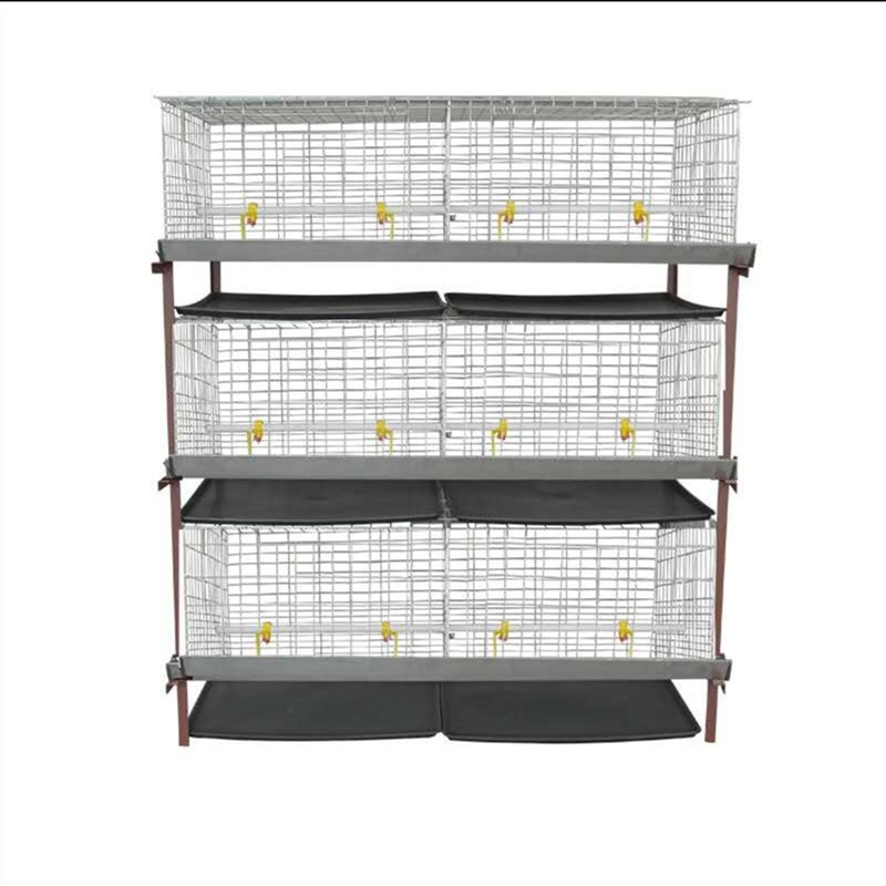 厂家批发 全自动肉鸡笼养殖 层叠笼养设备图5