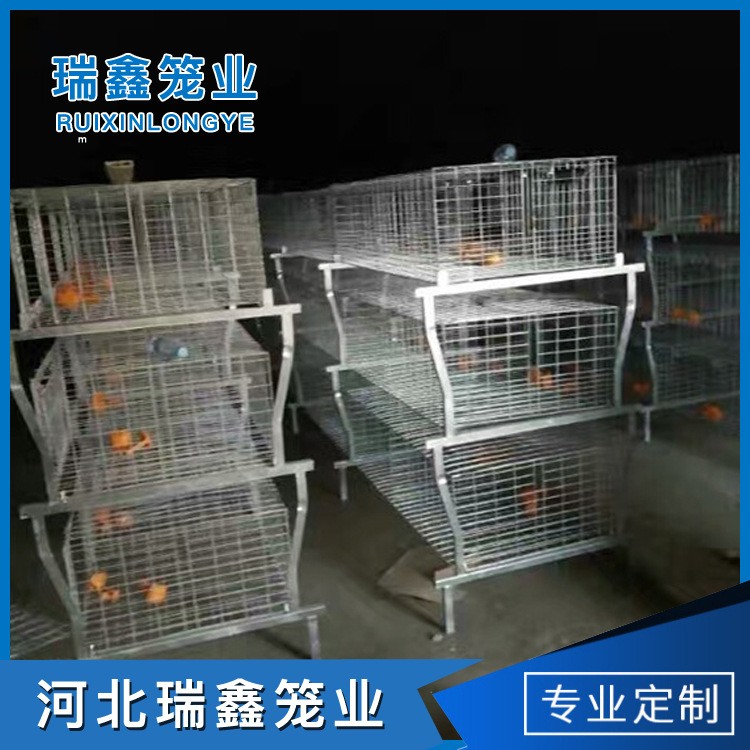 厂家批发 全自动肉鸡笼养殖 层叠笼养设备图4