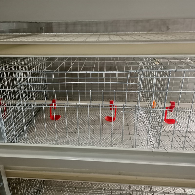 厂家批发 全自动肉鸡笼养殖 层叠笼养设备图2